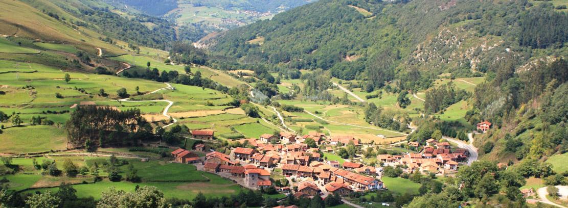 EL MITECO destina 40 millones de euros para iniciativas ligadas a la bioeconomía forestal